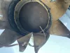 Saxon 20th Hussar Enlisted Busby Visuel 10